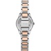 Ceas Dama, Trussardi, T-Sky R2453151507