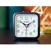 Ceas De Birou, Casio, Wake Up Timer TQ-141-1E