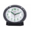Ceas De Birou, Casio, Wake Up Timer TQ-266-1E
