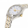 Ceas Barbati, Casio, Collection MTP-13 MTP-1308SG-7AVDF
