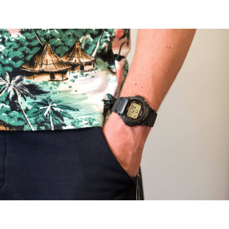 Ceas Barbati, Casio, Collection W-21 W-219H-1A2