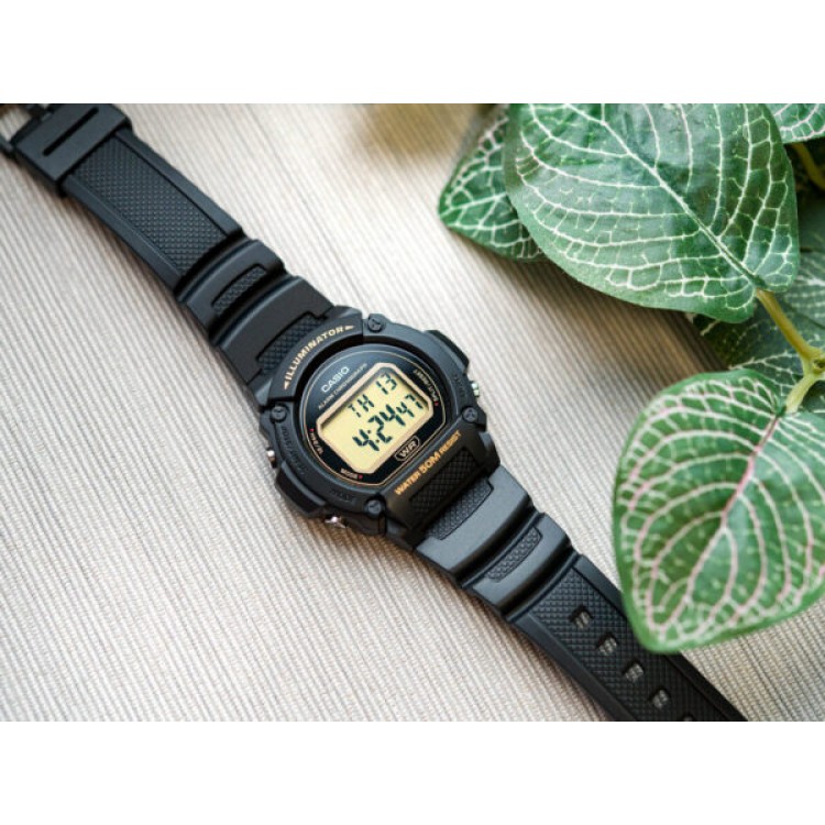 Ceas Barbati, Casio, Collection W-21 W-219H-1A2