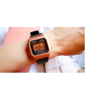 Ceas Casio, Collection W-21 W-217HM-5A