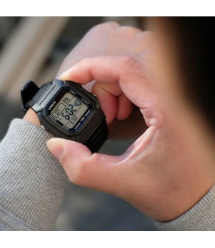 Ceas Casio, Collection W W-800H-1A