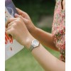 Ceas Dama, Casio, Collection LTP-11 LTP-1128G-7BRDF