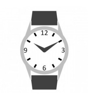Ceas Dama, Festina, Classic F20514/1