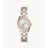 Ceas Dama, Fossil, Scarlette ES4363