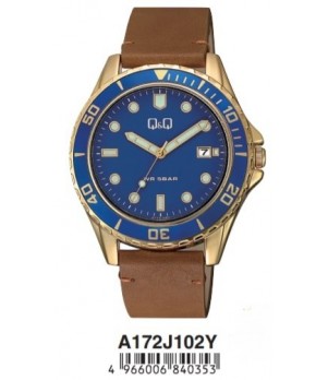 Ceas Barbati, Q&Q by Citizen, Casual A172J102Y