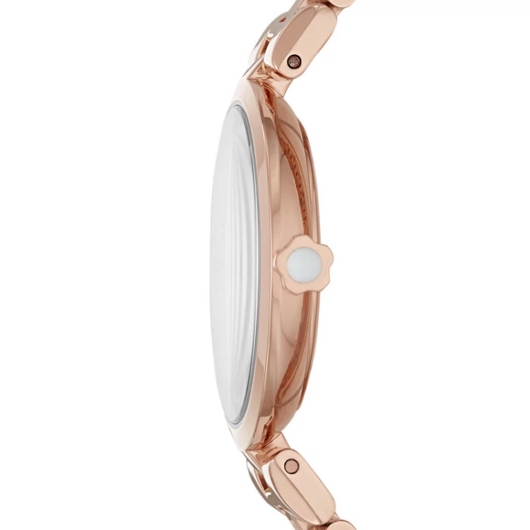 Ceas Dama, Emporio Armani, Arianna AR11196