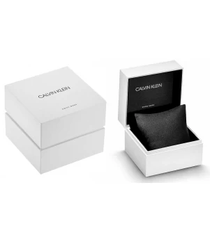 Ceas Barbati, Calvin Klein, Iconic 25300018