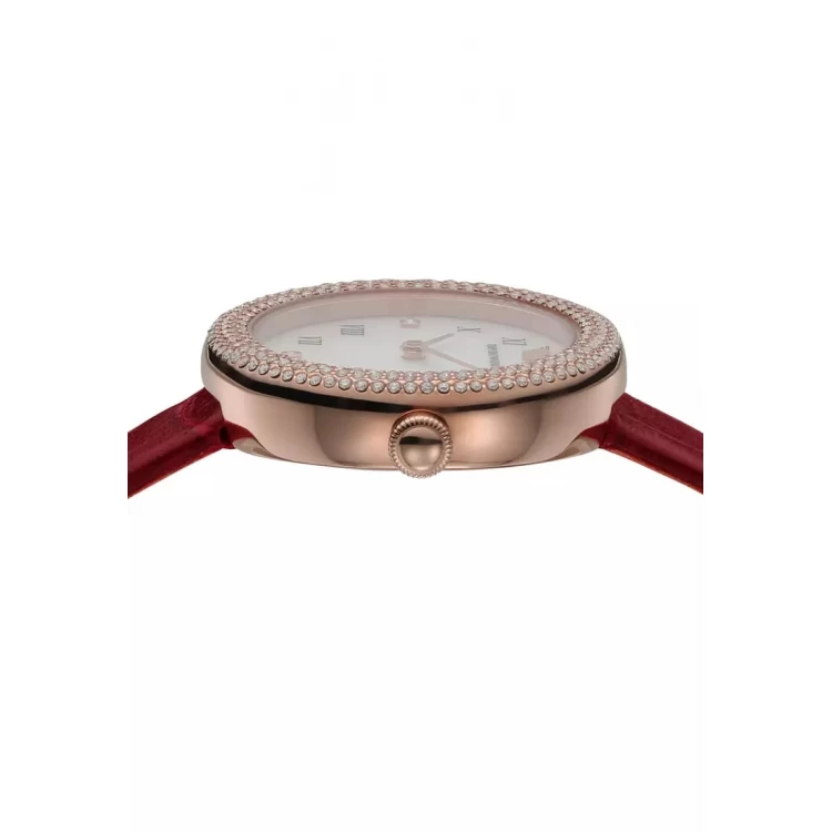 Ceas Dama, Emporio Armani, Mother of Pearl AR11357