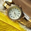 Ceas Dama, Q&Q by Citizen, Classic C223J004Y