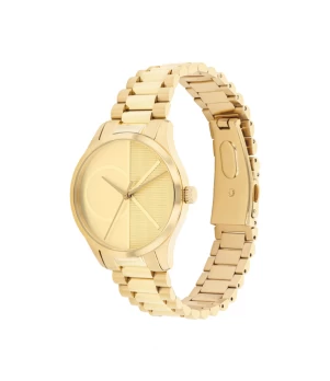 Ceas Dama, Calvin Klein, Iconic 25200346