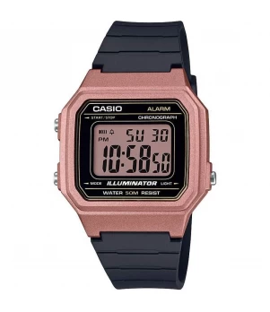 Ceas Casio, Collection W-21 W-217HM-5A