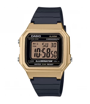 Ceas Casio, Collection W-21 W-217HM-9A